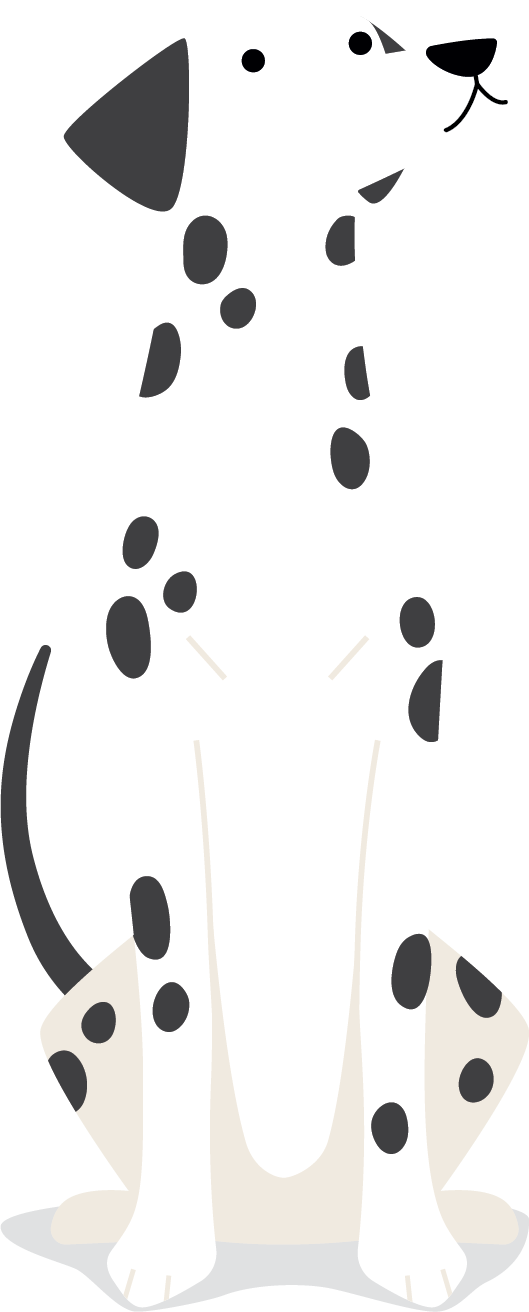 dalmatian