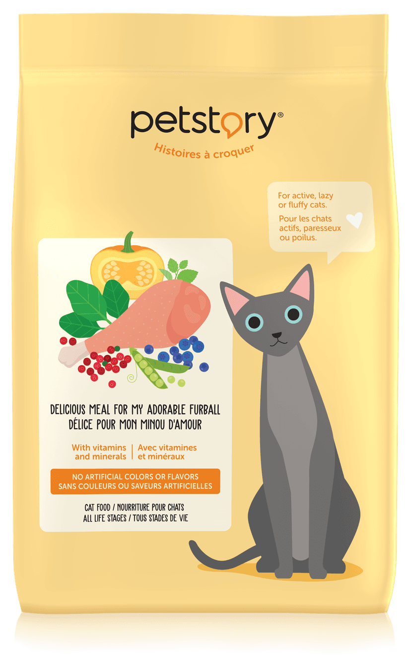 Chicken Flavoured Dry Food For Cats Petstory Mondou Petstory chicken-flavoured-dry-food-for-cats-petstory-mondou-petstory